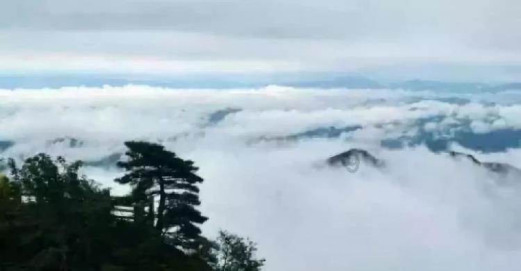 孤岛危机3