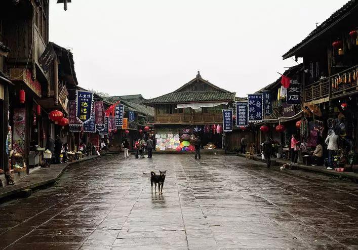 世界射箭锦标赛